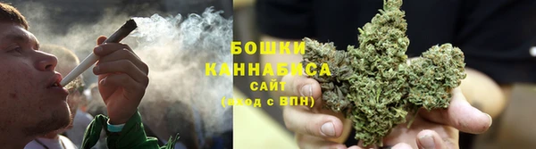 амф Аркадак